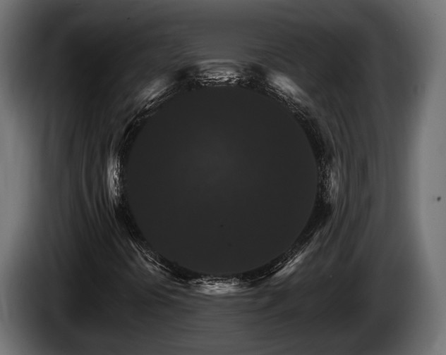 X0000084521394200703021345