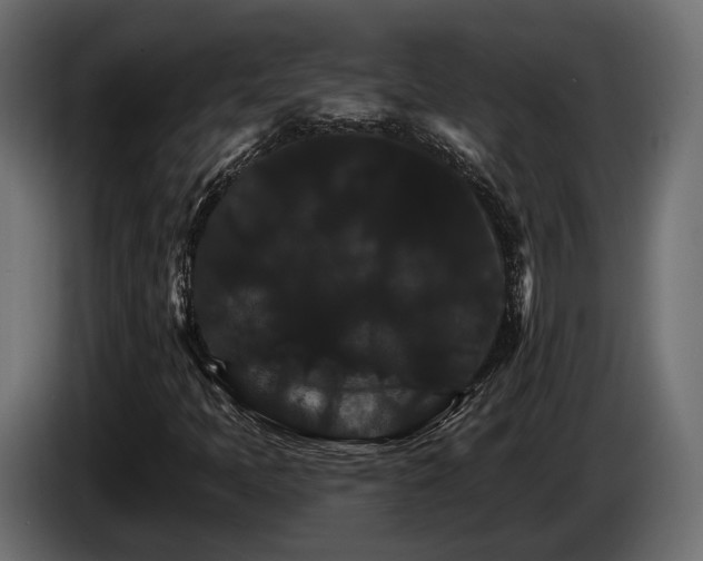 X0000084521397200703021345