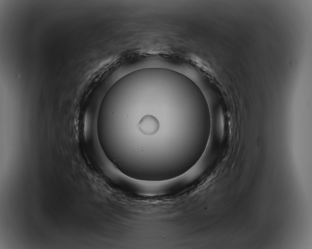 X0000084521398200703021345