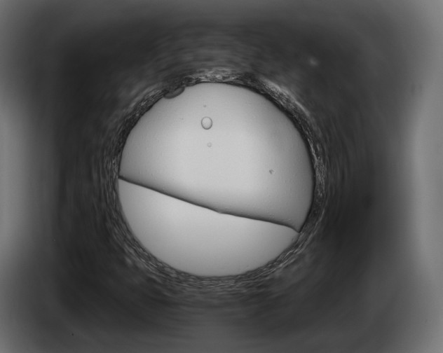 X0000084521399200703021345