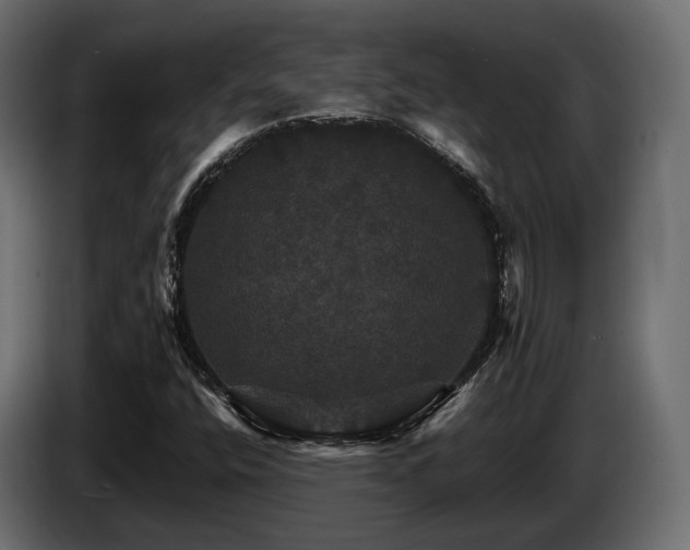 X0000084521400200703021345