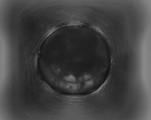 X0000084521401200703021345