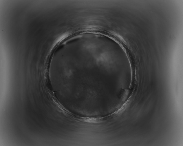 X0000084521405200703021345