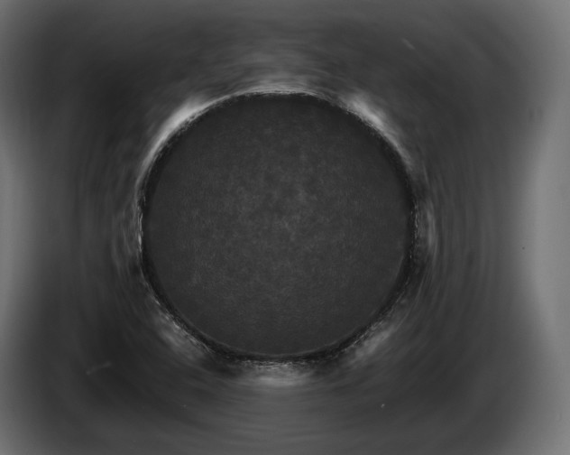 X0000084521408200703021345