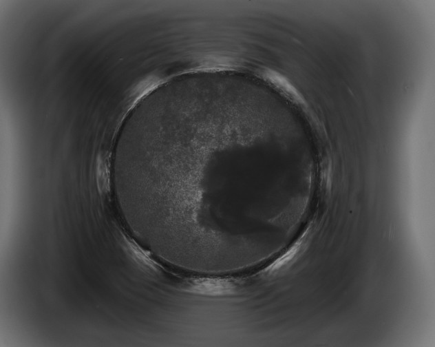 X0000084521409200703021345