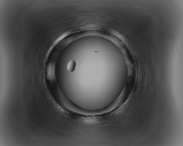 X0000084521410200703021345