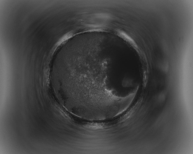 X0000084521411200703021345