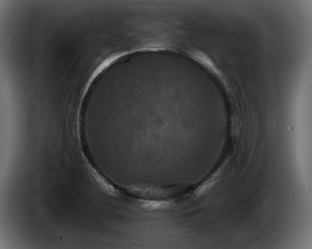 X0000084521412200703021345