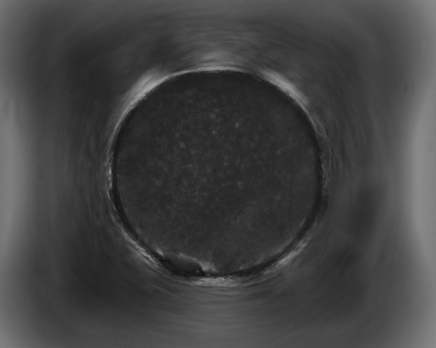 X0000084521415200703021345