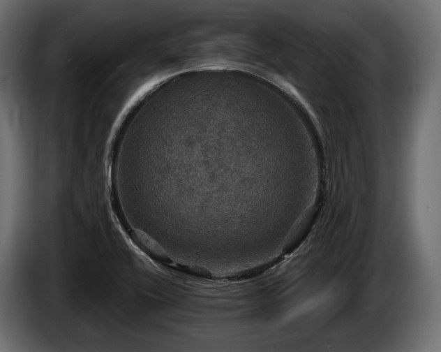 X0000084521416200703021345