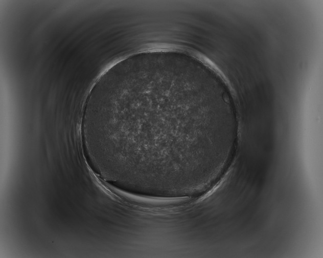 X0000084521417200703021345