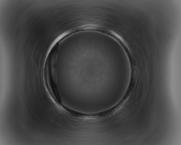 X0000084521418200703021345