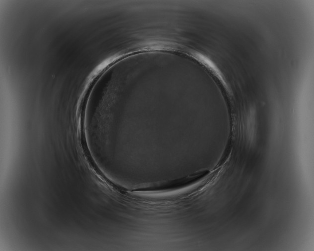 X0000084521419200703021345