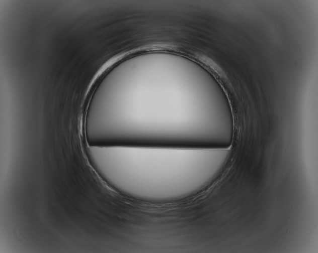 X0000084521420200703021345