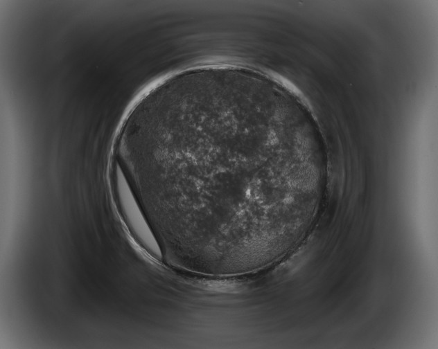 X0000084521421200703021345