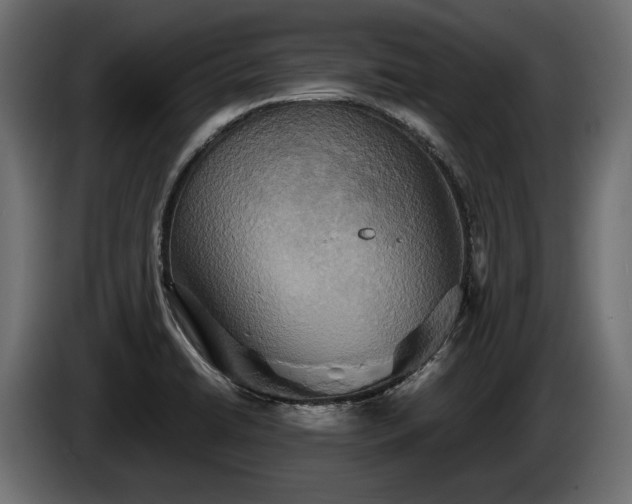 X0000084521422200703021345