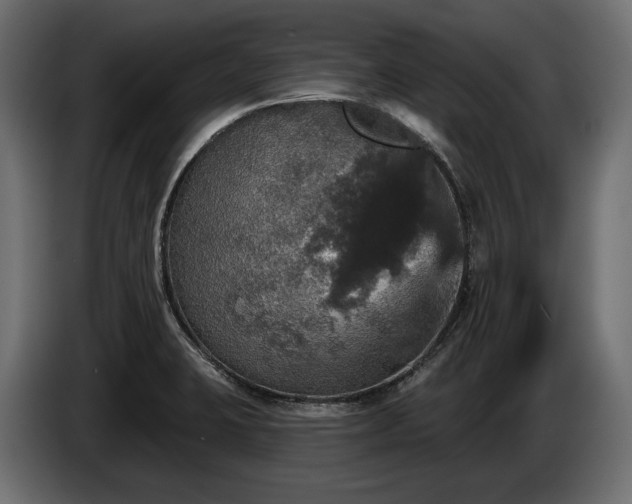 X0000084521423200703021345