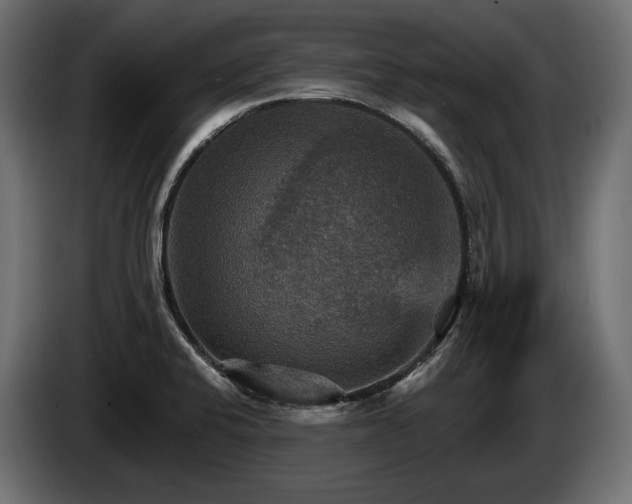 X0000084521424200703021345