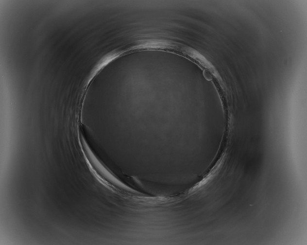 X0000084521425200703021345