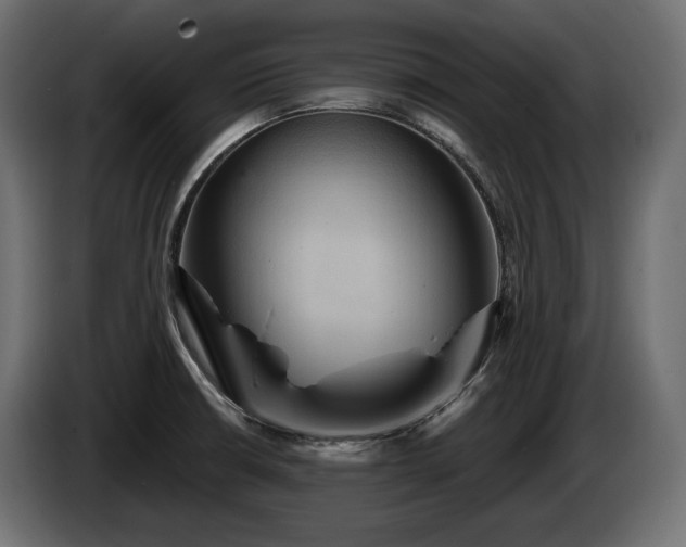 X0000084521426200703021345