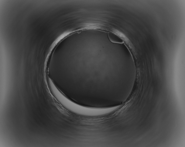 X0000084521427200703021345