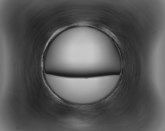 X0000084521428200703021345