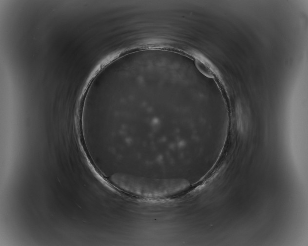 X0000084521429200703021345