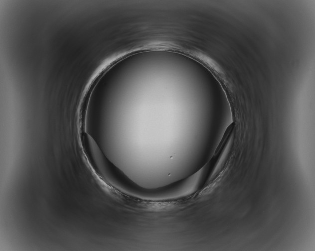 X0000084521430200703021345