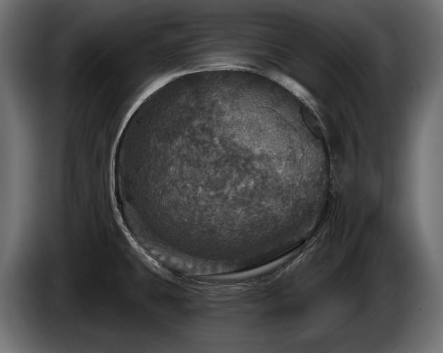 X0000084521431200703021345