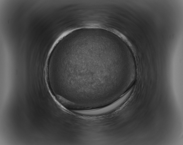 X0000084521432200703021345