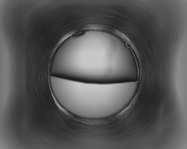 X0000084521433200703021345