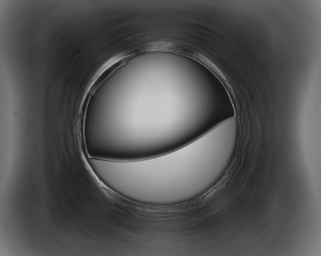 X0000084521434200703021345