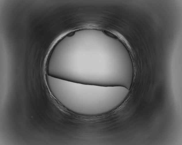 X0000084521435200703021345