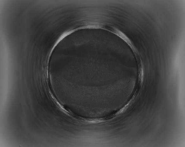 X0000084521436200703021345