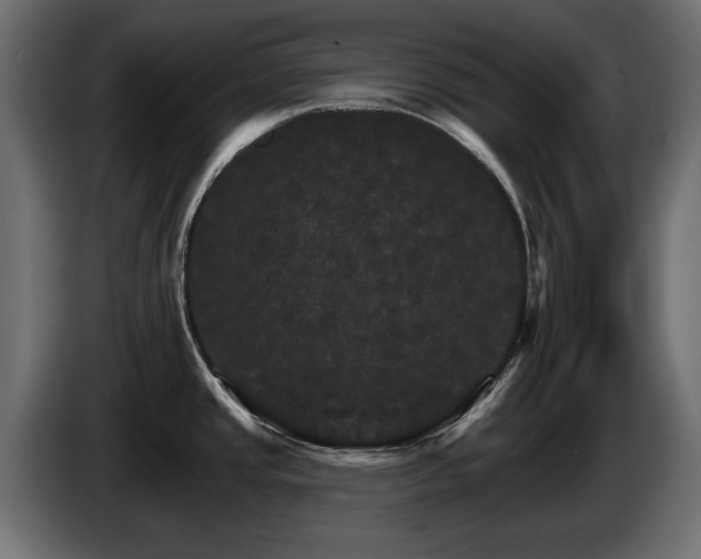 X0000084521437200703021345