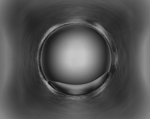 X0000084521438200703021346