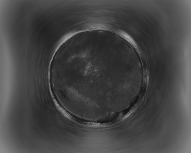 X0000084521439200703021346