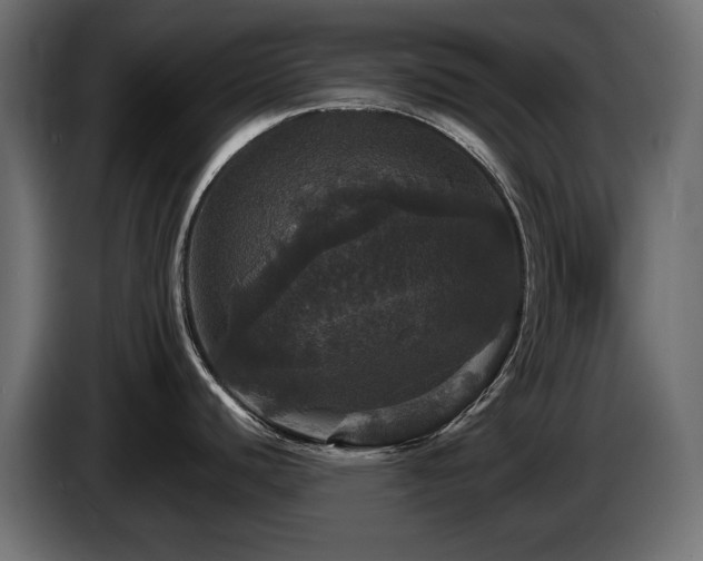 X0000084521440200703021346