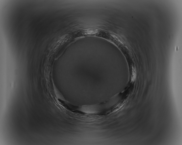 X0000084521441200703021345