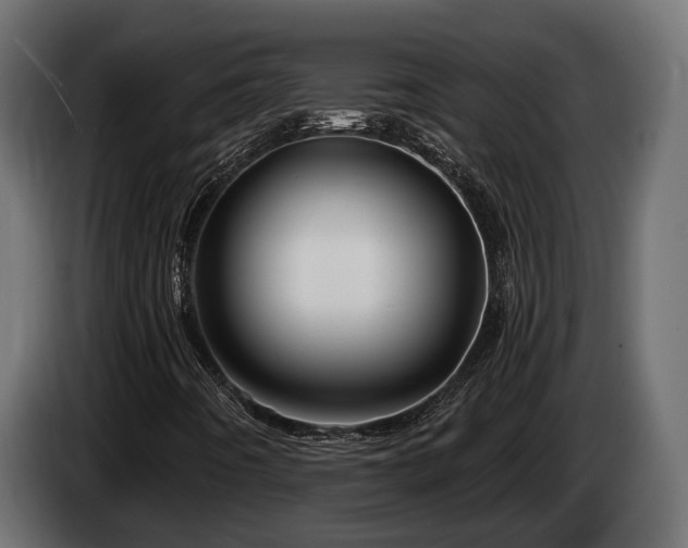 X0000084521442200703021345