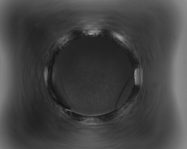 X0000084521443200703021345