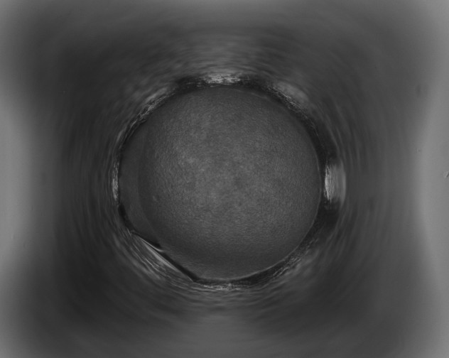 X0000084521444200703021345