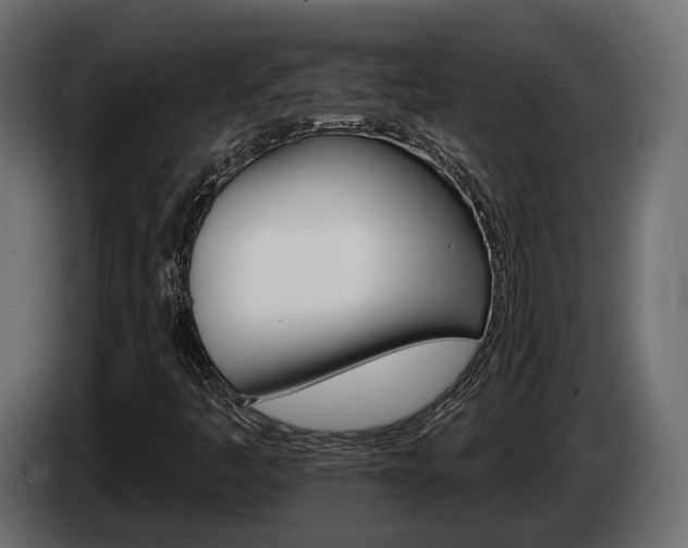 X0000084521445200703021345