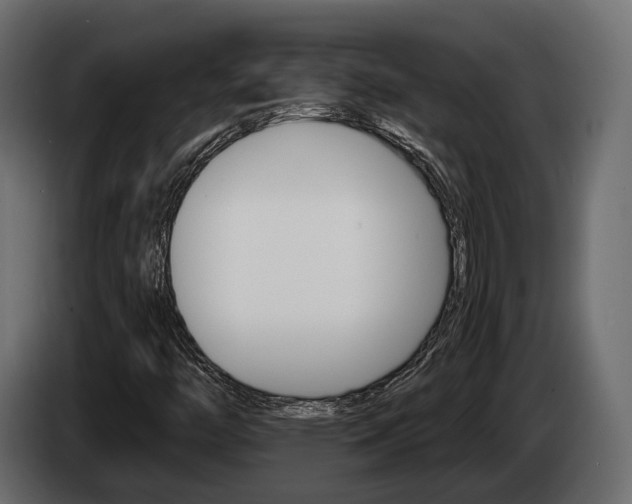 X0000084521446200703021345