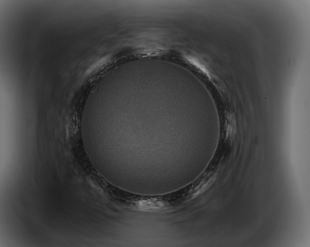 X0000084521447200703021345