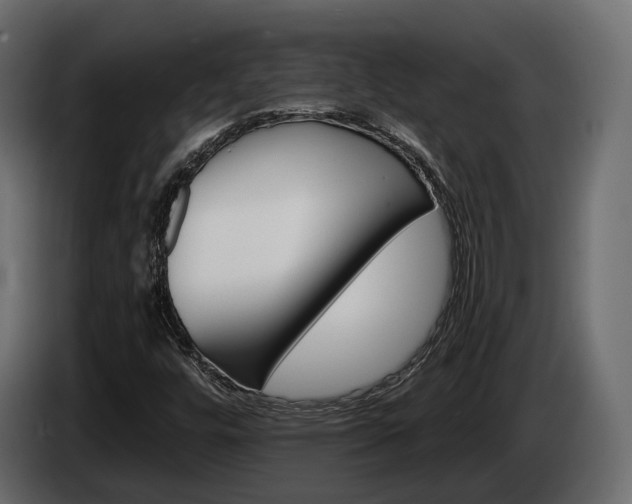 X0000084521448200703021345