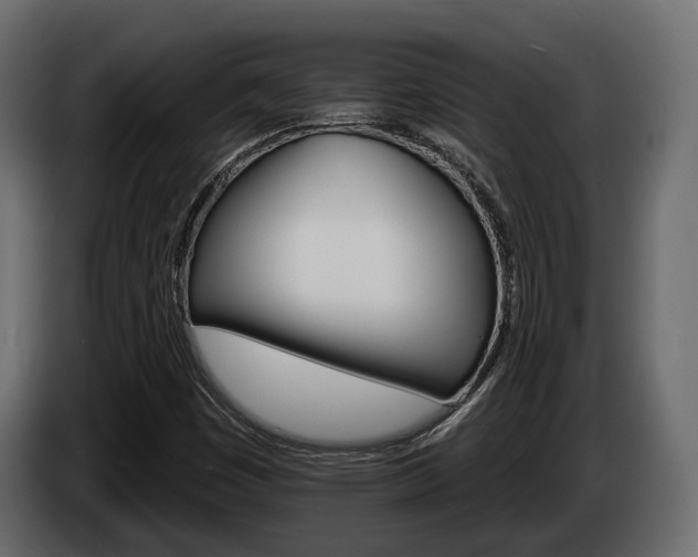 X0000084521449200703021345