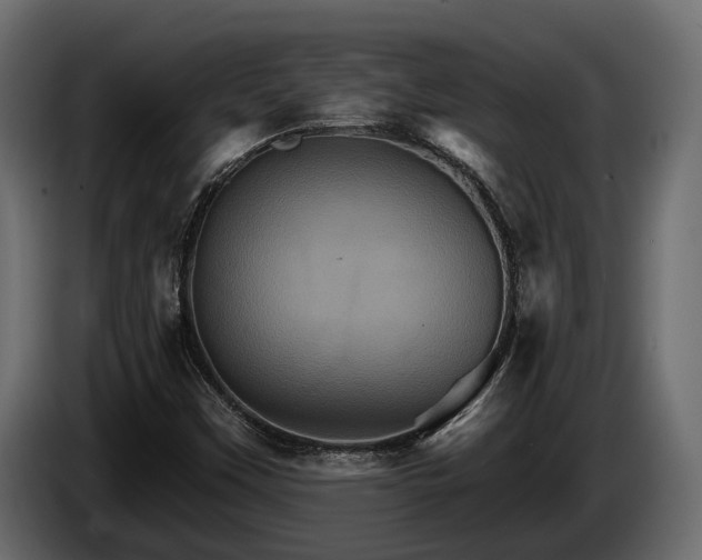 X0000084521451200703021345