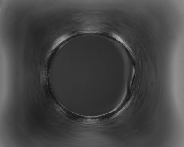 X0000084521453200703021345