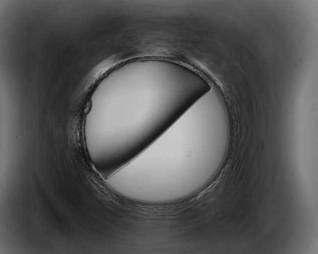 X0000084521455200703021345